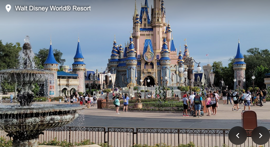 7nt Resort Rental to ORLANDO, FL and BEYOND !