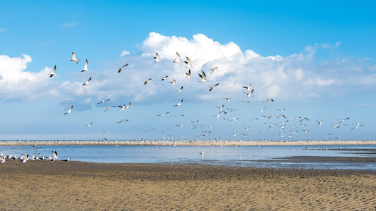 Hilton Head Island, South Carolina
