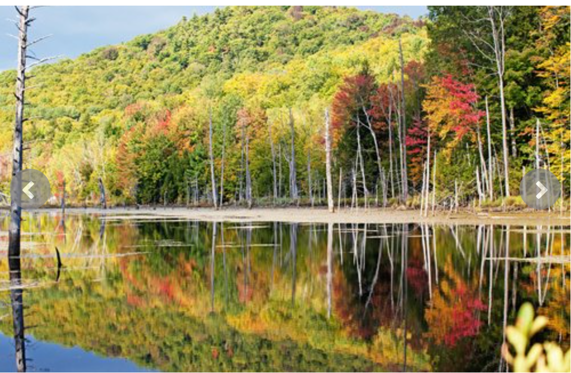 MAINE