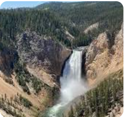 7nt Yellowstone, MONTANA