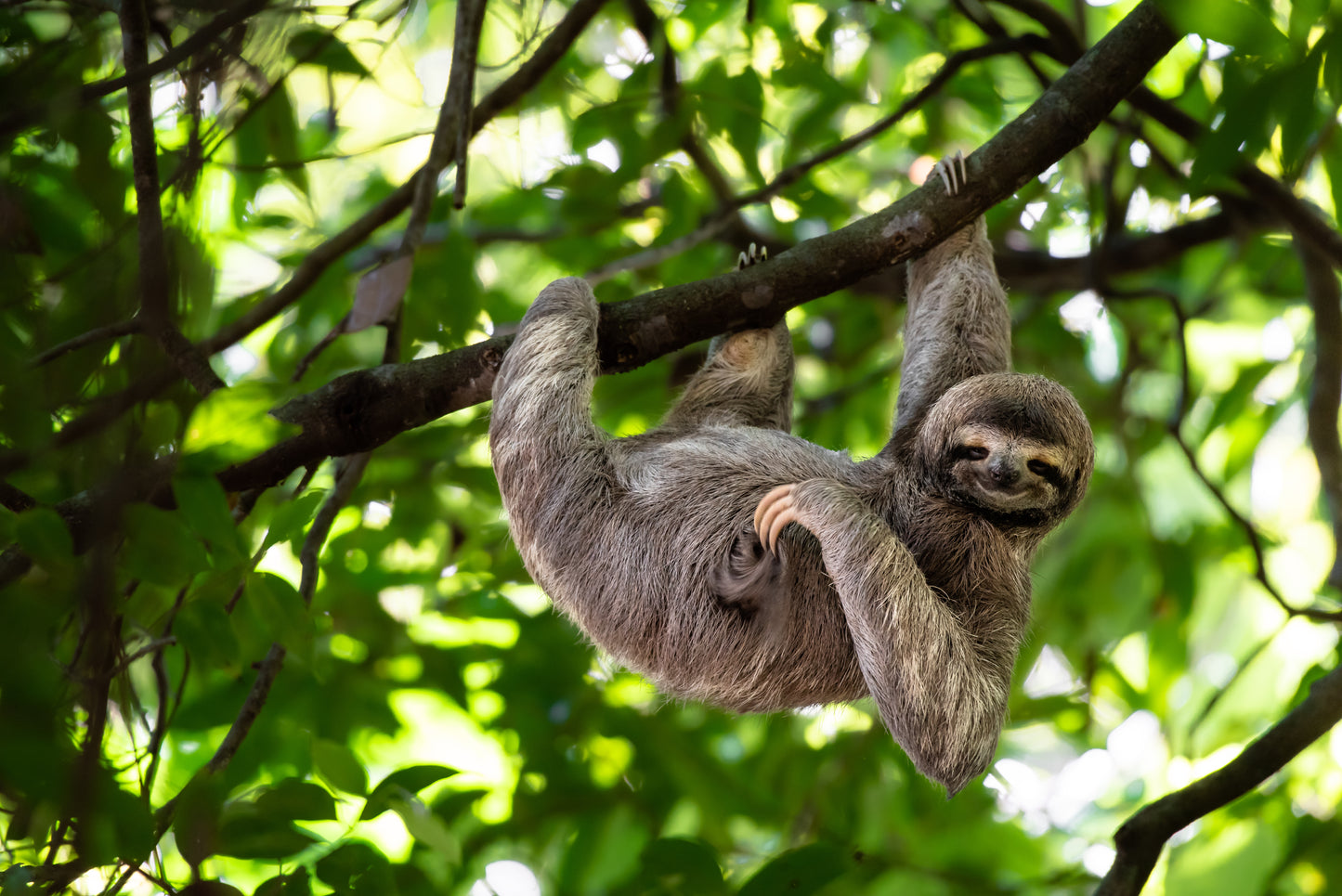 Guanacaste, Costa Rica