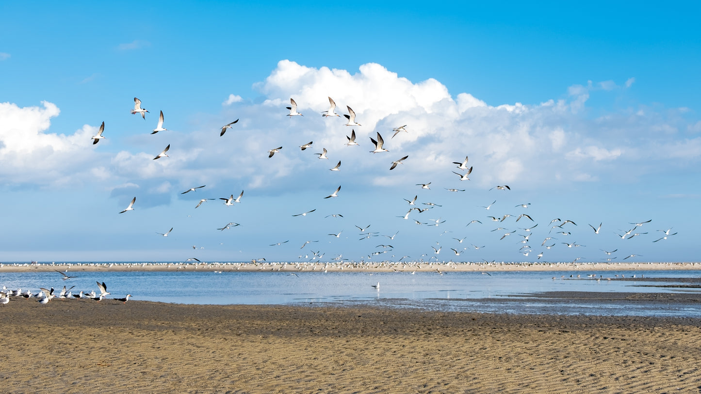 Hilton Head Island, South Carolina