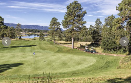 7nt Pagosa Springs, COLORADO